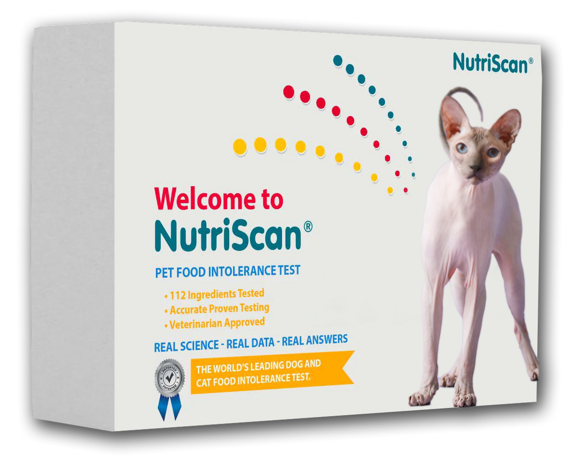 Cat food allergy test best sale
