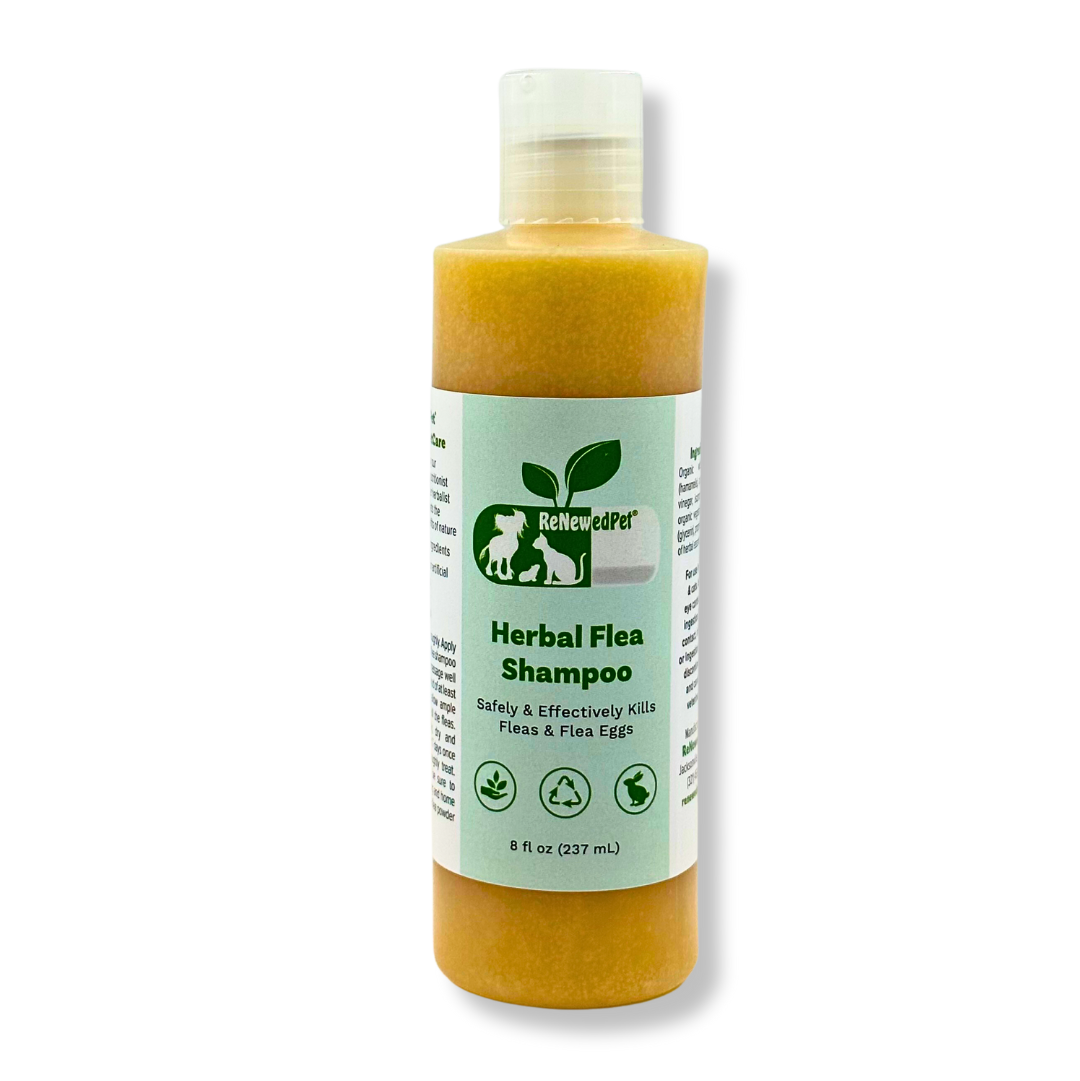 HERBAL FLEA SHAMPOO ReNewedPet
