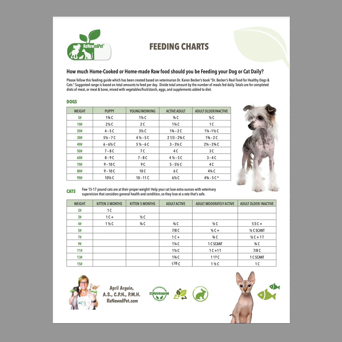 Nature's domain puppy outlet food feeding chart