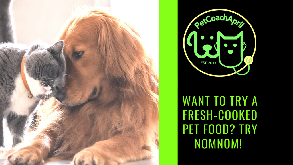 "NOMNOM" MAKES GREAT FRESH-COOKED PET FOOD!