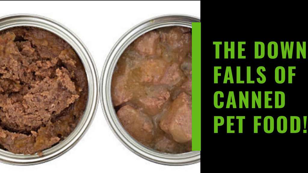 THE DOWN-FALLS OF CANNED PET FOOD ONLY DIETS!