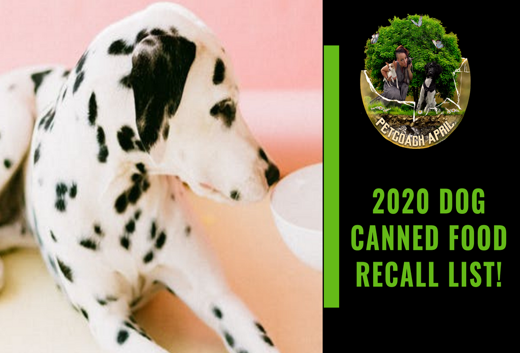 2020 CANNED DOG FOOD RECALLS!