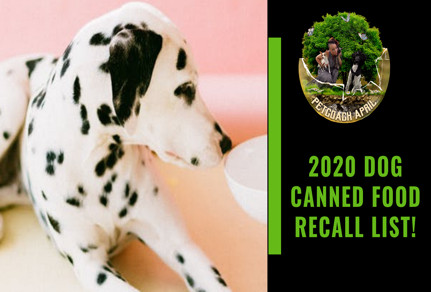 2020 CANNED DOG FOOD RECALLS ReNewedPet