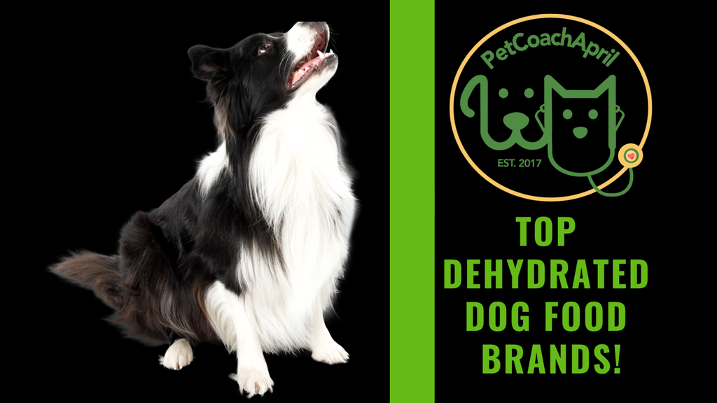 TOP DEHYDRATED DOG FOOD BRANDS!