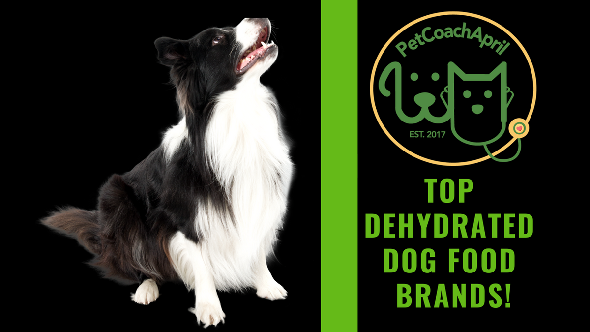 Dehydrated dog food clearance brands