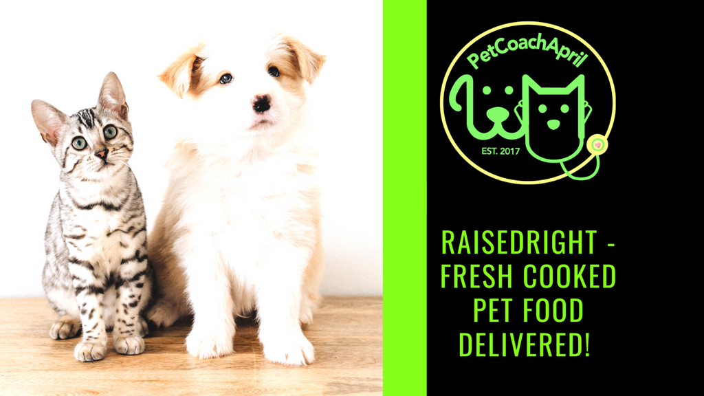 RaisedRight - Fresh Cooked Pet Food Delivered!