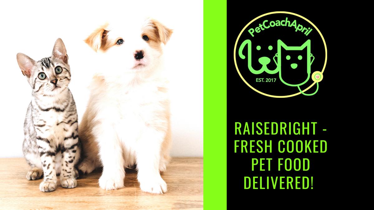 RaisedRight Fresh Cooked Pet Food Delivered! ReNewedPet