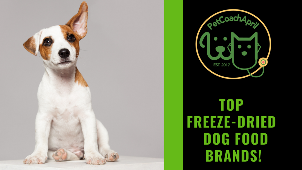 TOP FREEZE-DRIED DOG FOOD BRANDS!
