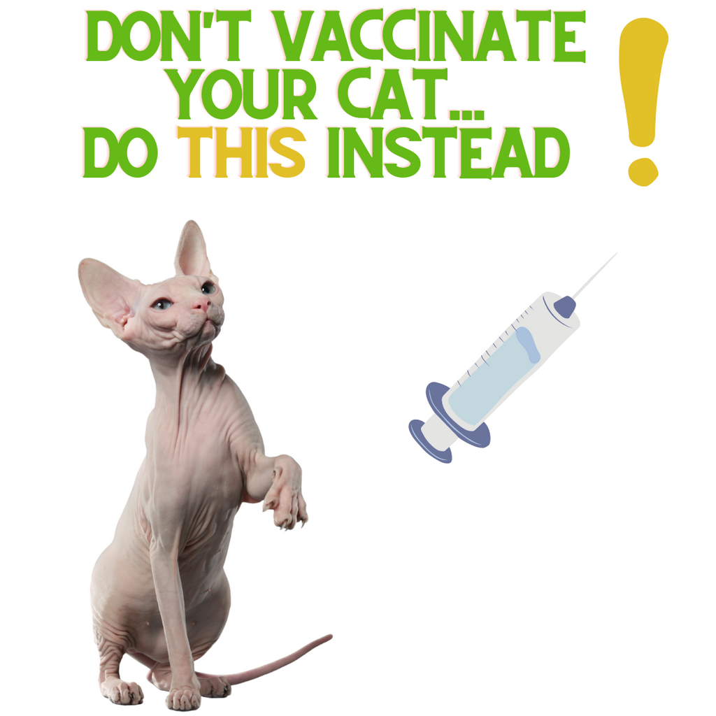 Don't Vaccinate Your Cat - Do THIS Instead!