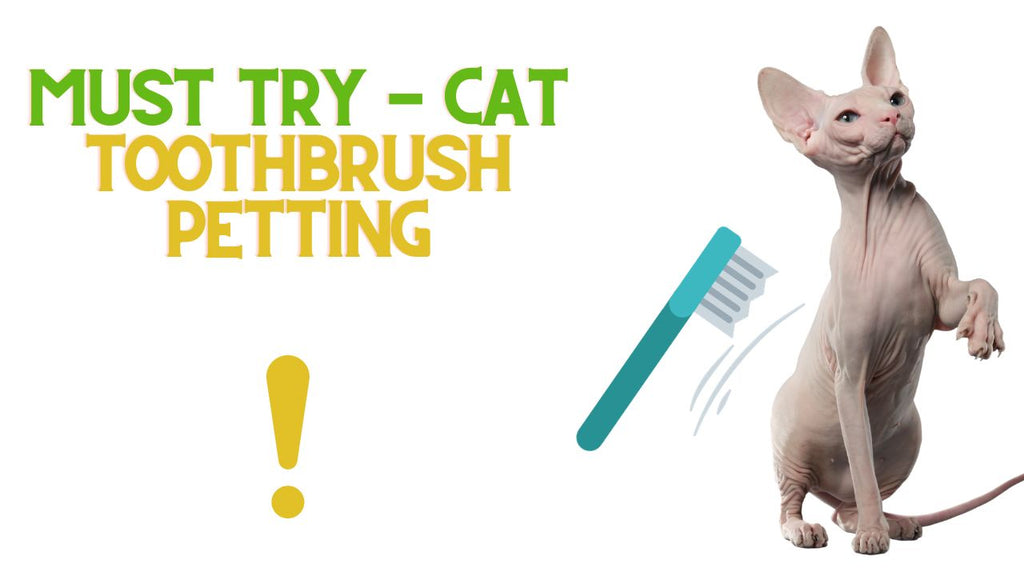 Must Try! Toothbrush Petting Your Cat!