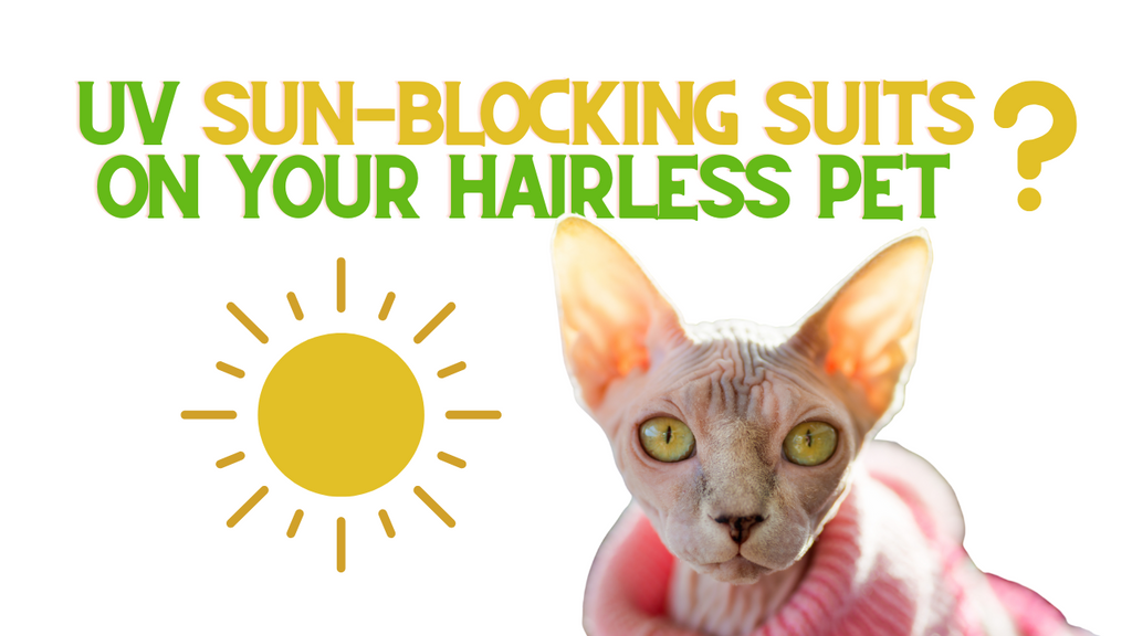 UV Sun-Blocking Suits on Your Hairless Pet?
