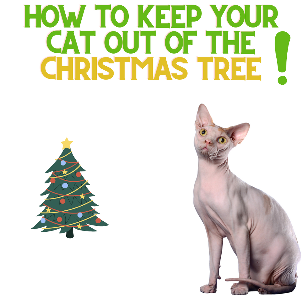 How To Keep Your Cats OUT Of The Christmas Tree!