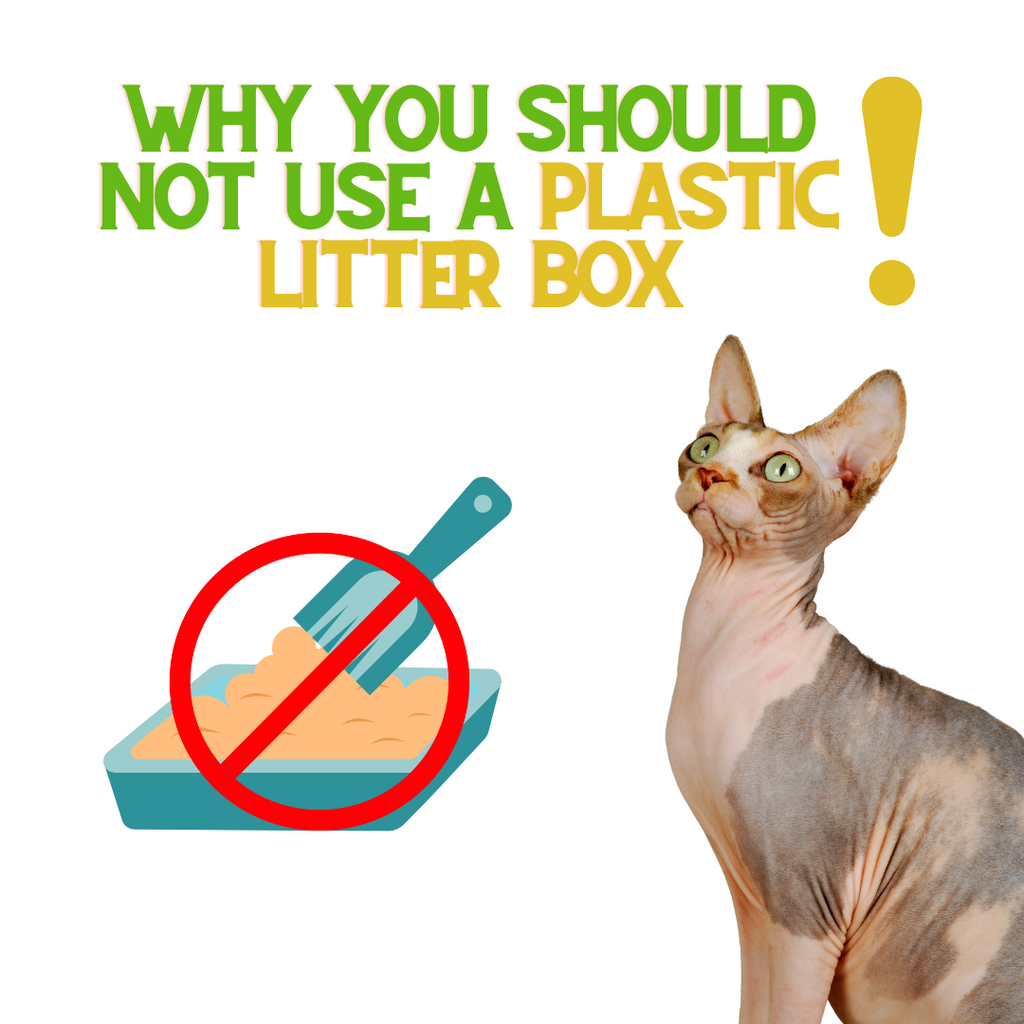 Throw Out the Plastic Litter Box!