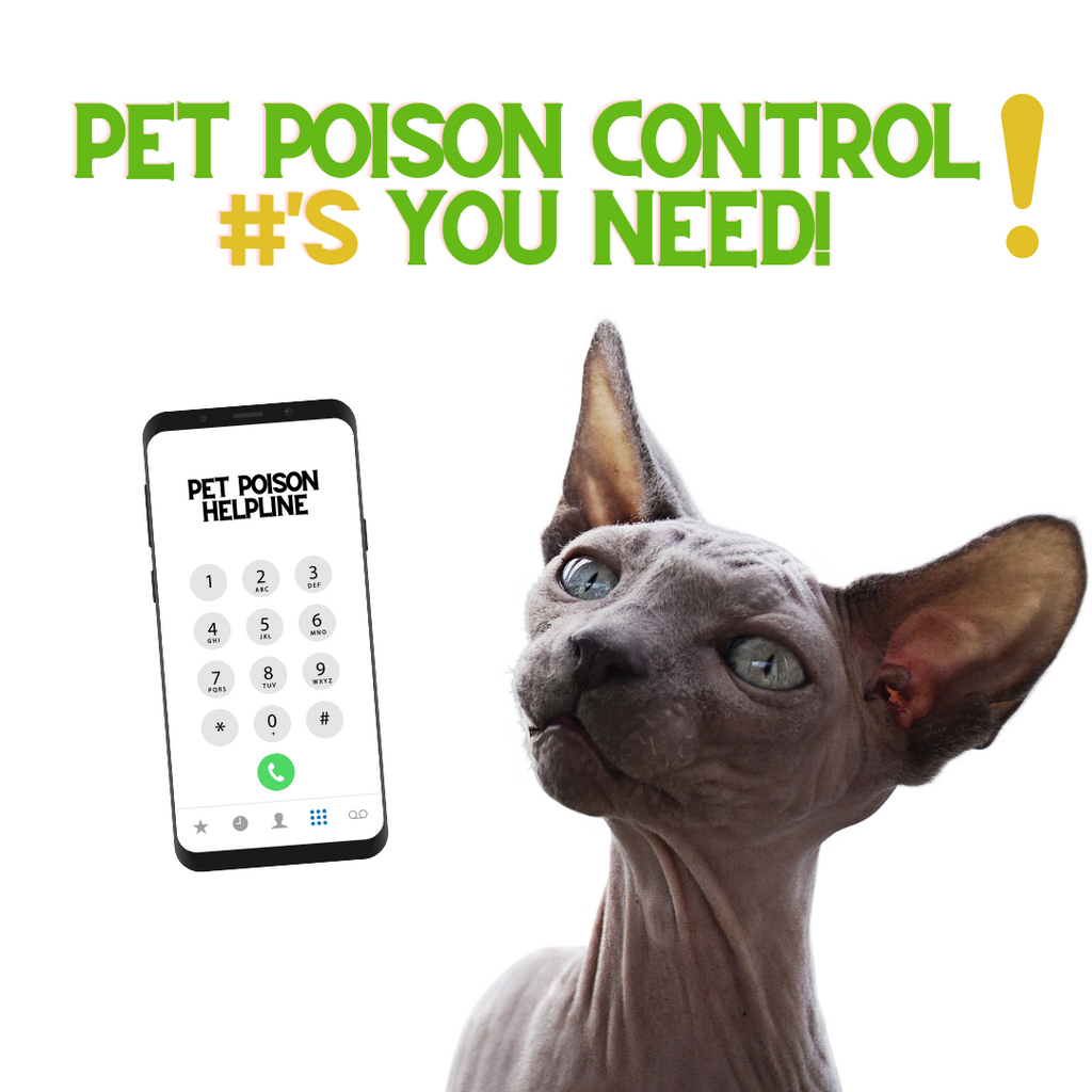 Pet Poison Control #'s You Need!