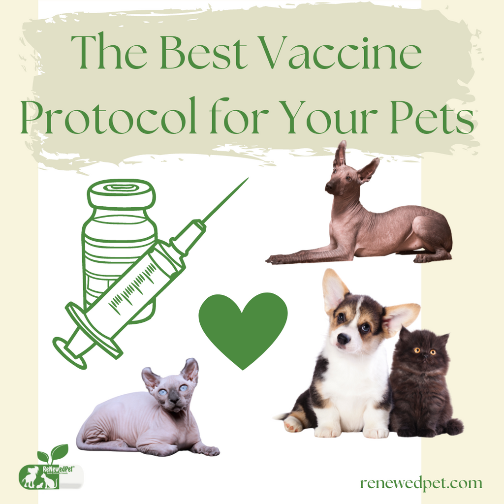 The Best Vaccine Protocol for Your Pets!