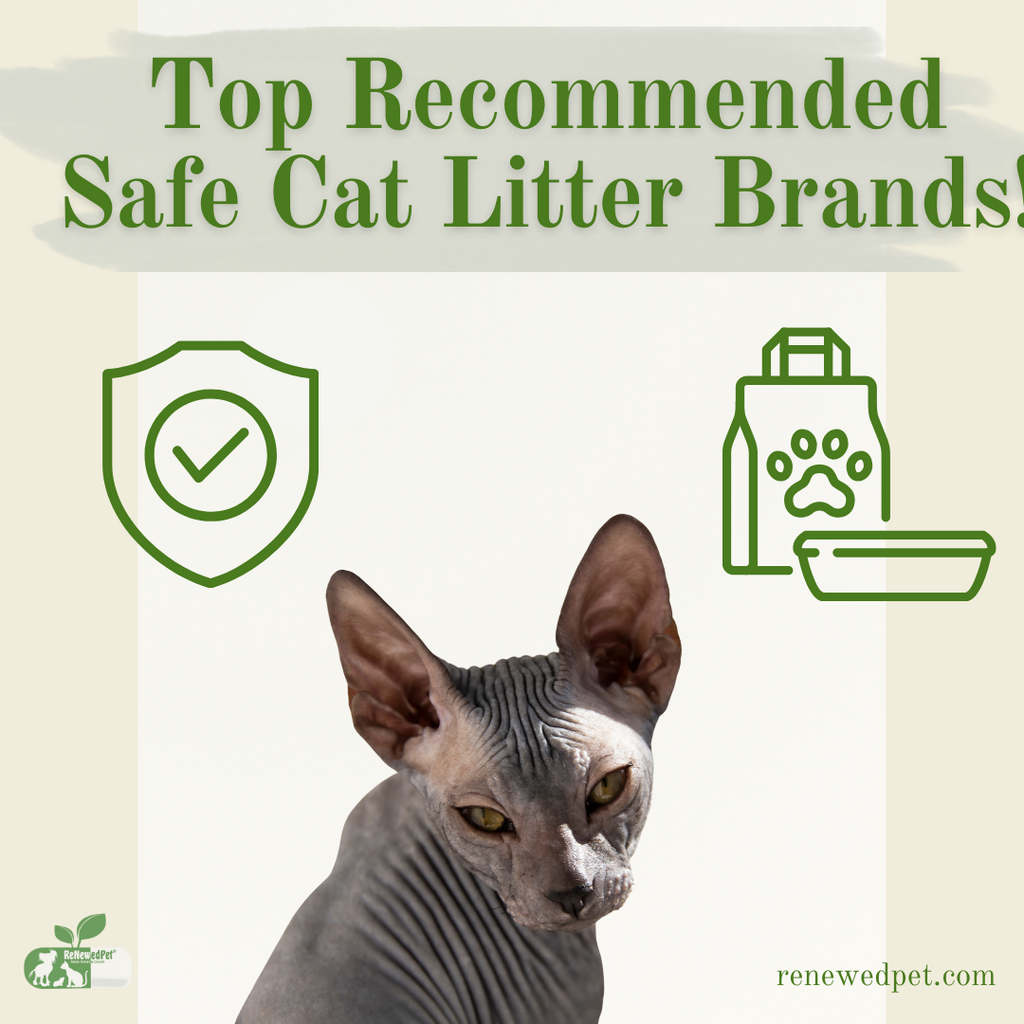 Top Recommended Safe Cat Litter Brands