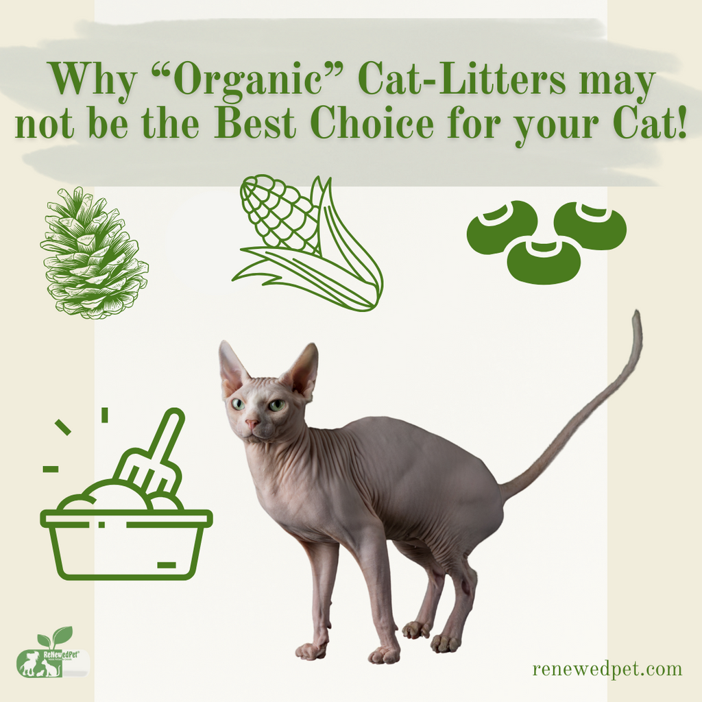 Why Organic Cat Litter May Not Be The Best Choice For Your Cat!