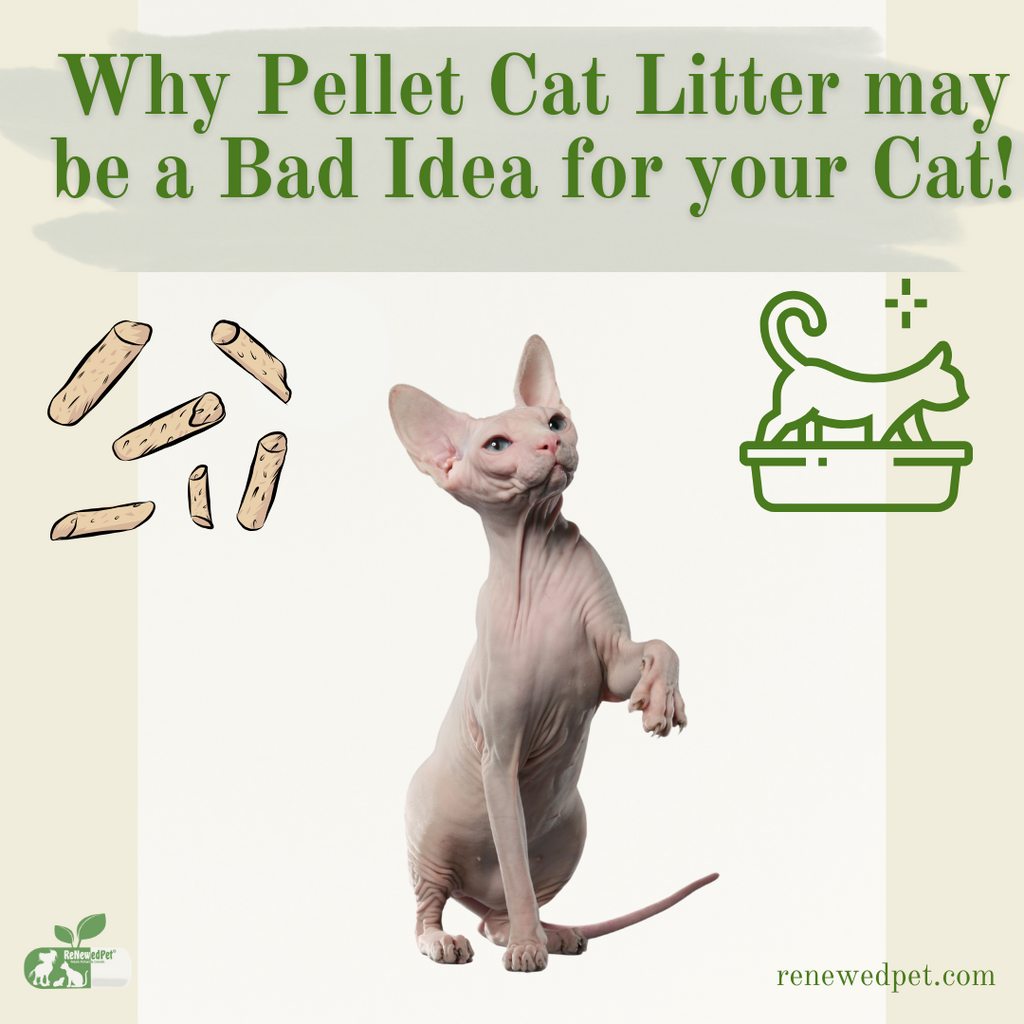 Why Pellet Cat Litter May Be A Bad Idea For Your Cat!