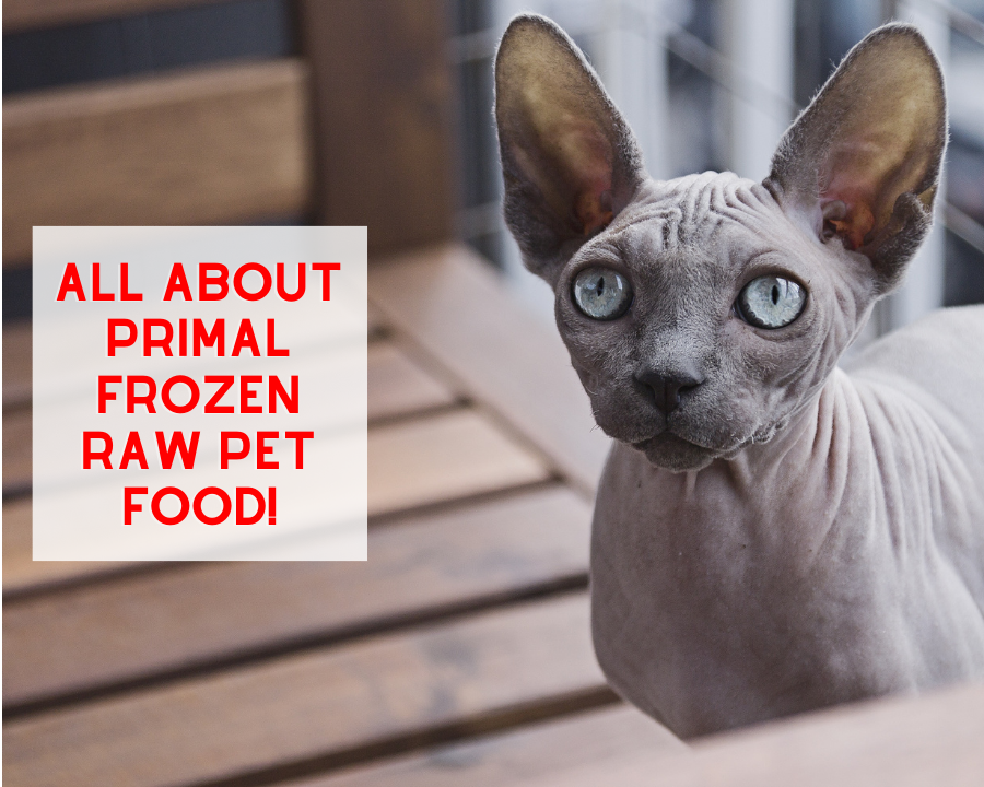Primal Frozen Raw Pet Food is a GREAT OPTION!