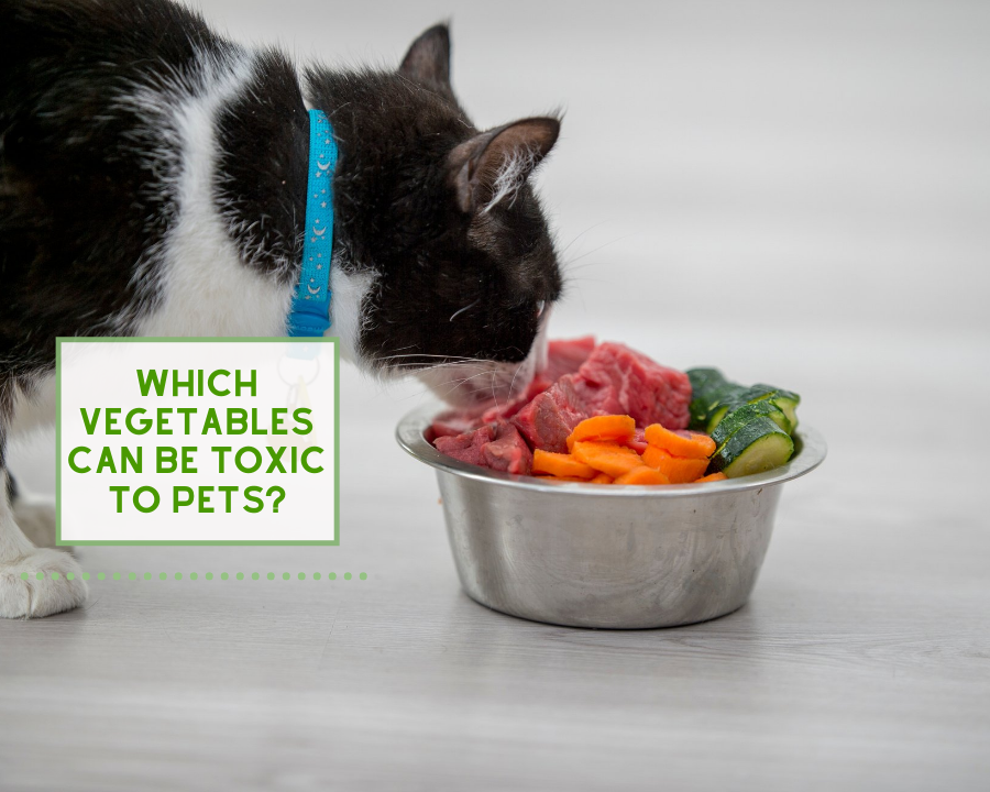 Which Vegetables Can Be Toxic to Pets?
