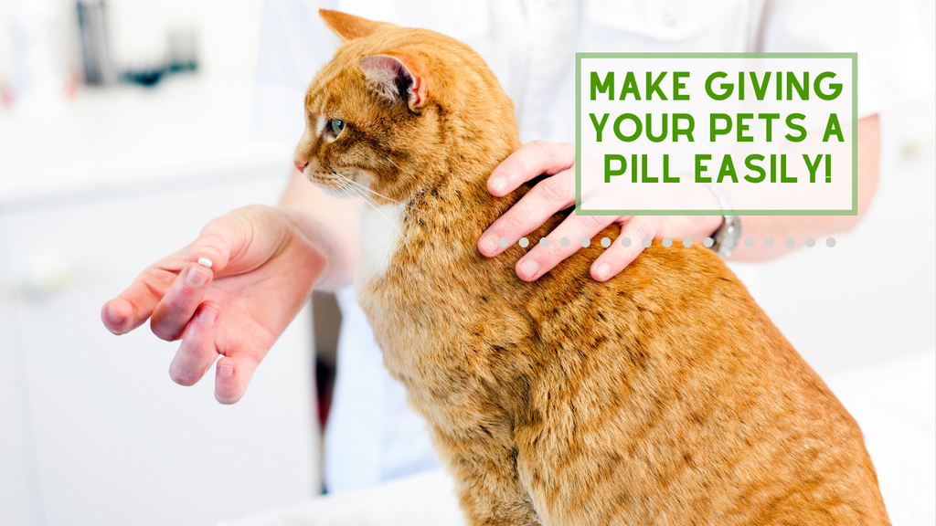 Tips for Making giving your Pets PILLS EASIER!