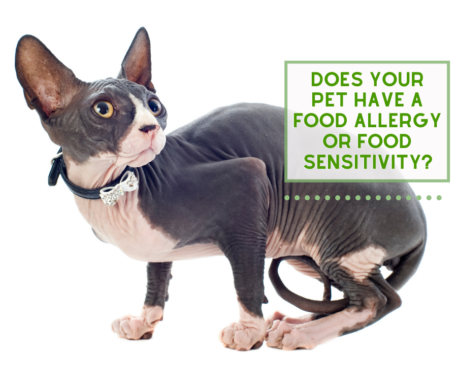 Food Allergies Vs. Food Sensitivities