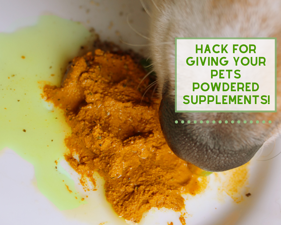 Hack for giving your Pet's Powdered Supplements!