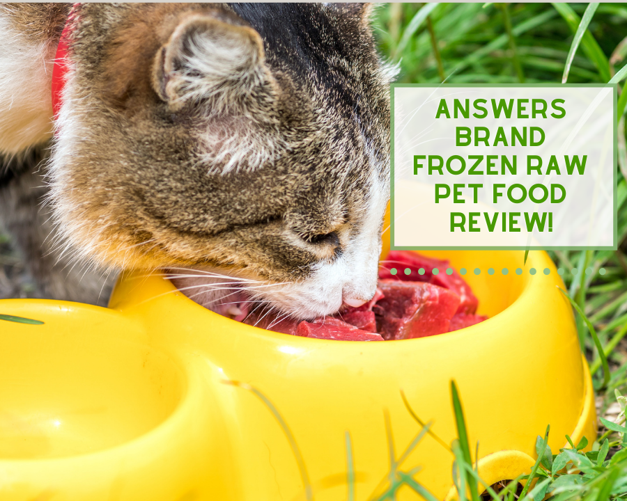 Answers Brand Frozen Raw Pet Food Review!  Good or Bad?
