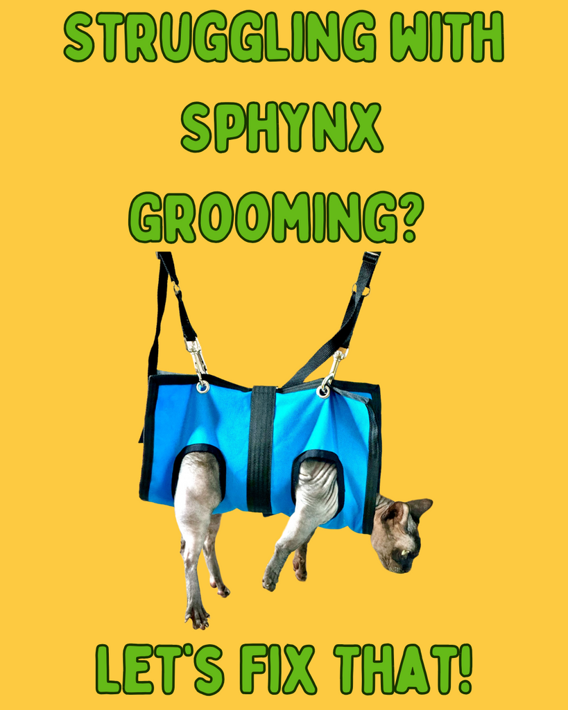 Struggling With Sphynx Grooming Days? Let’s Fix That!