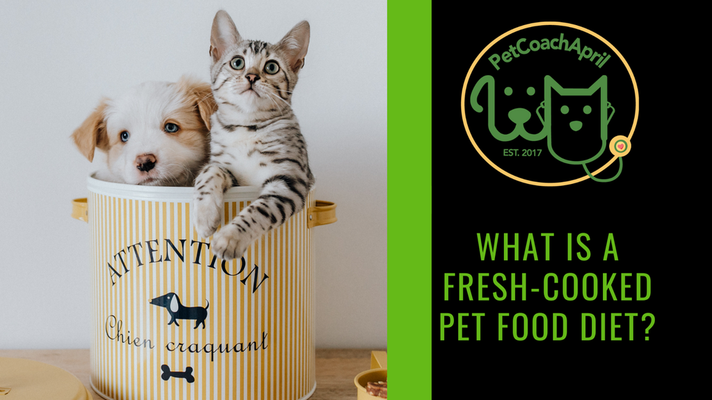 WHAT IS FRESH-COOKED PET FOOD?