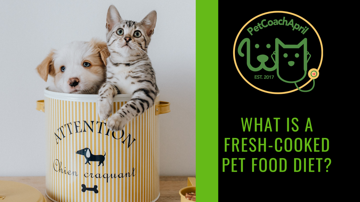 WHAT IS FRESHCOOKED PET FOOD? ReNewedPet