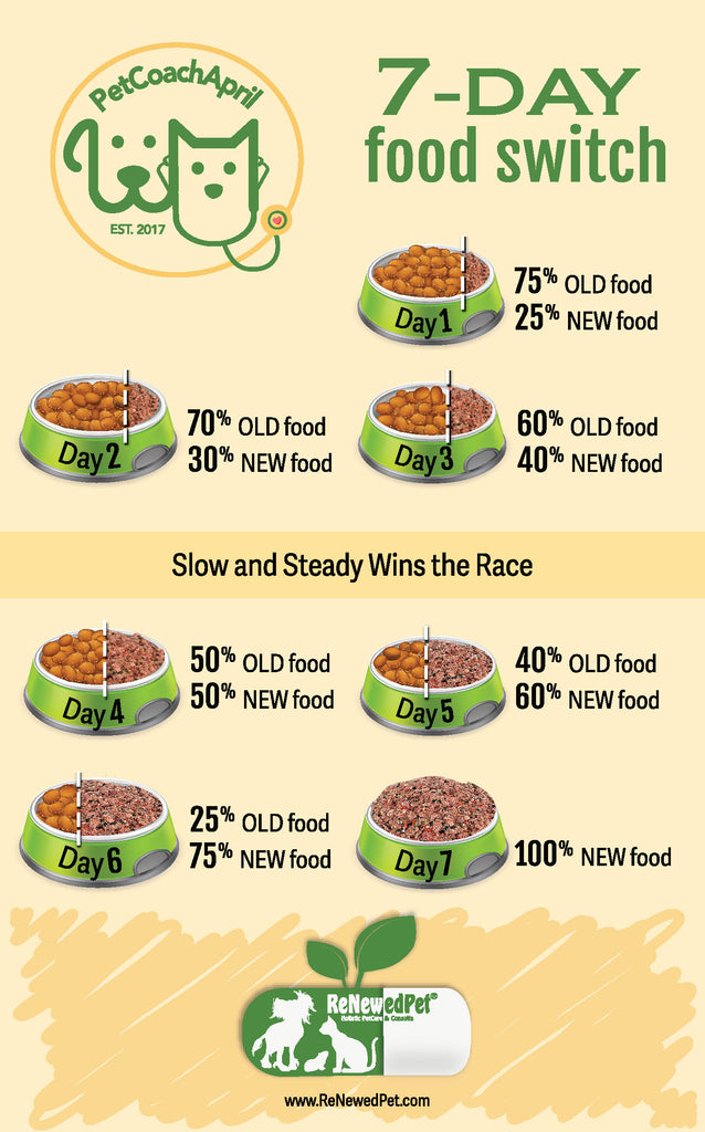 Cat Food Transition Chart at Jewel Simmons blog