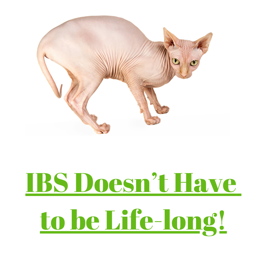 Irritable Bowel Disorder DOESN'T HAVE TO BE LIFE-LONG!