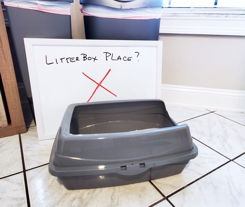 Best & Worst Places to Keep your Cat's Litter Boxes!