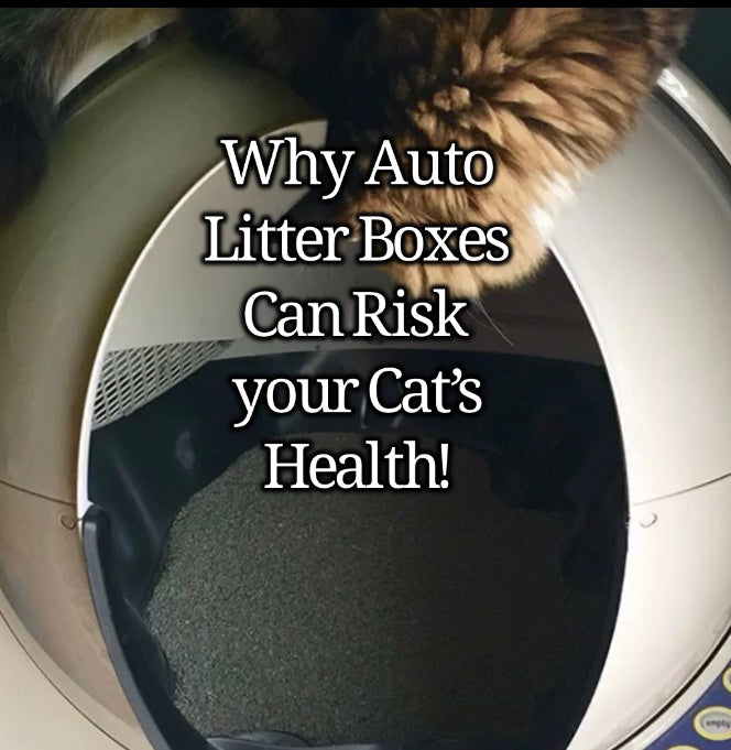 Automatic Litter Boxes can Risk your Cat's Health!