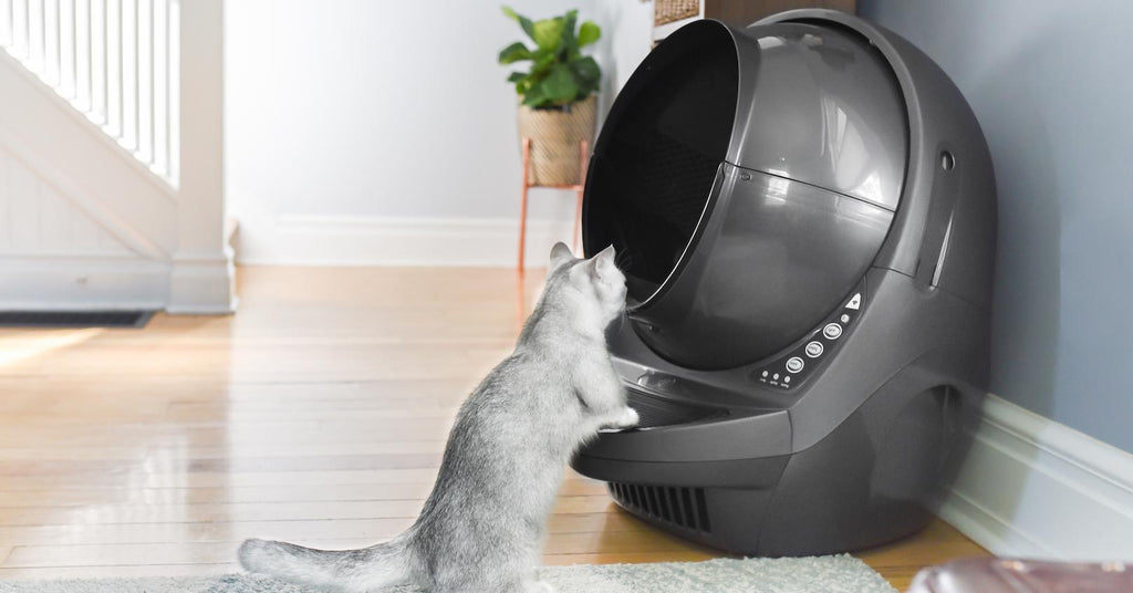Think Twice before Purchasing an Automatic Litter Box!