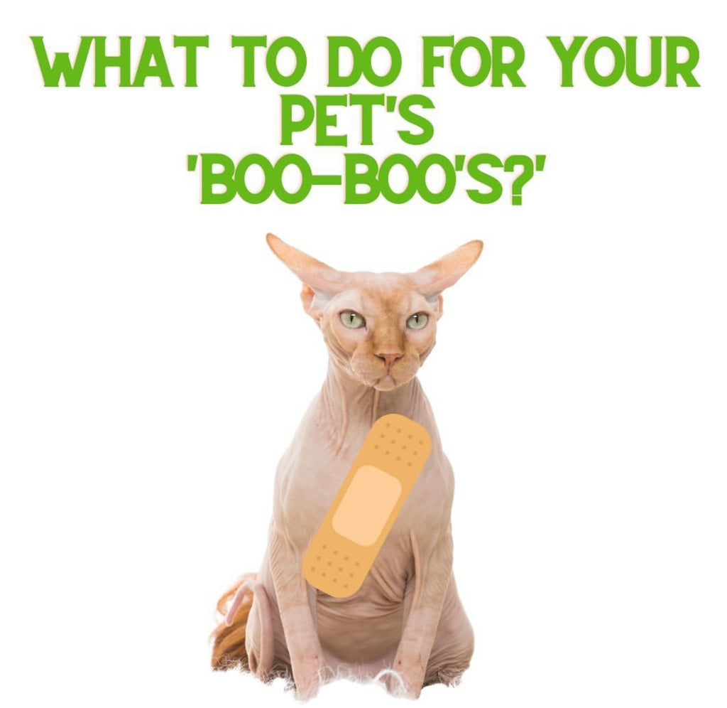 What to do for your Pet's Boo-Boo's?