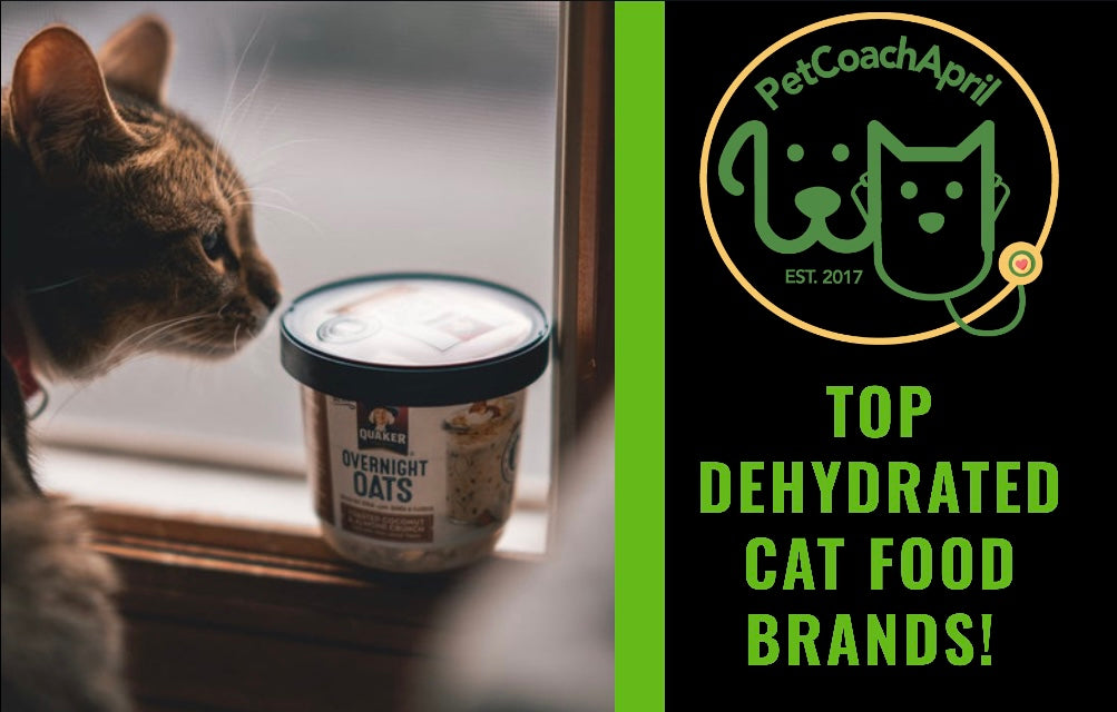 TOP DEHYDRATED CAT FOOD BRANDS!