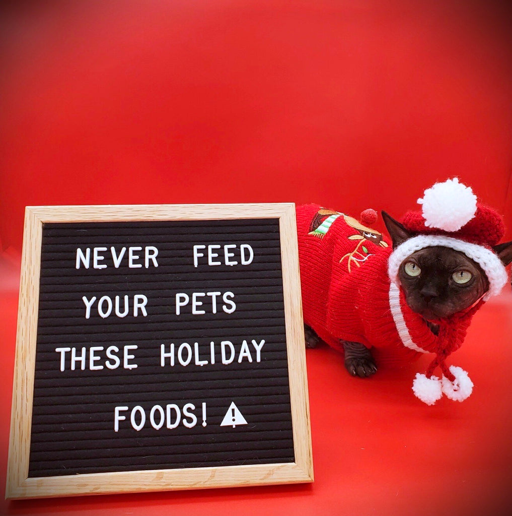 Never Feed your Holiday Foods!