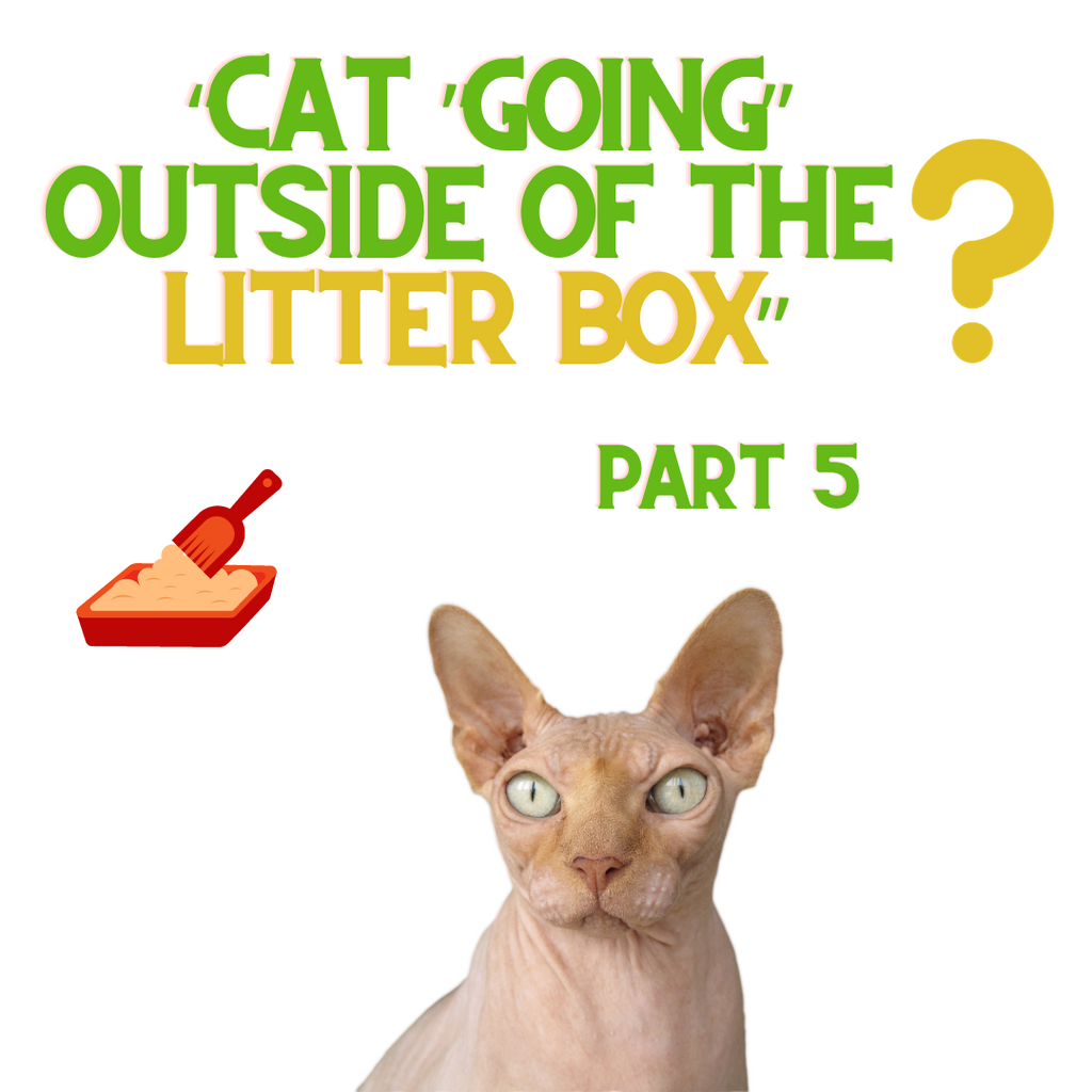 If Your Cat is NOT Using The Litter Box - Do THIS! Part 5...