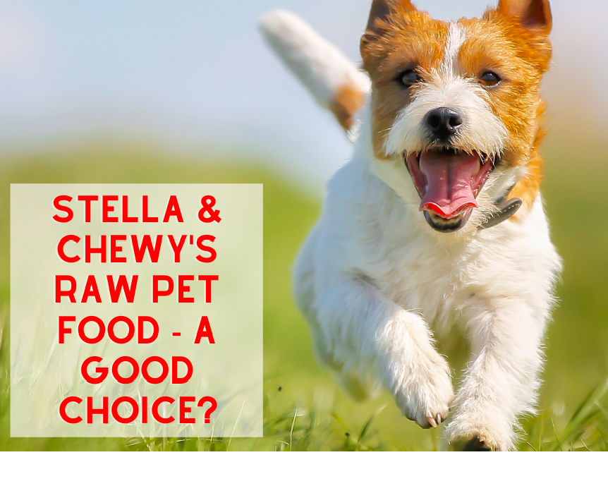 Stella & Chewy's Raw Pet Food - A Good Choice?