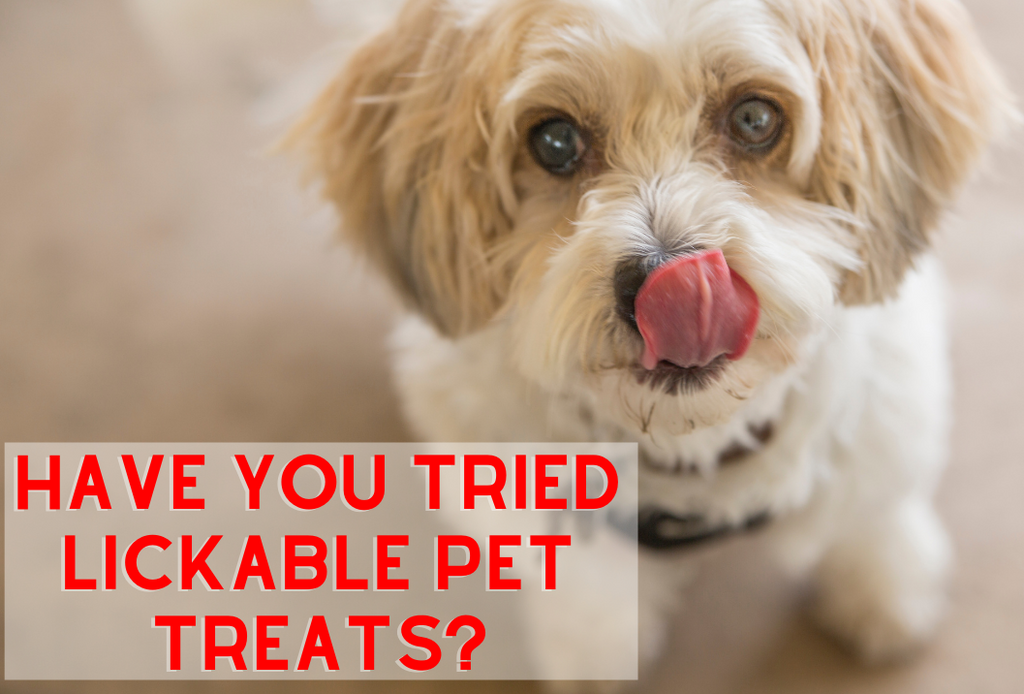 Lickable Pet Treats!