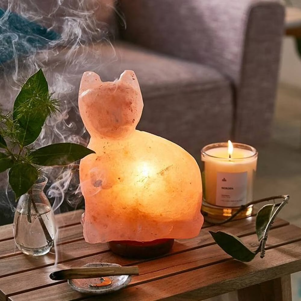 Is Pink Himalayan Salt Safe For Sphynx Cats