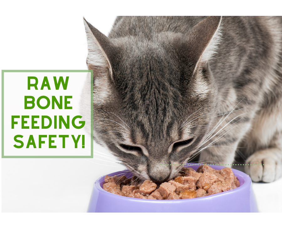 How to Safely Feed Raw Bones to Your Pets!