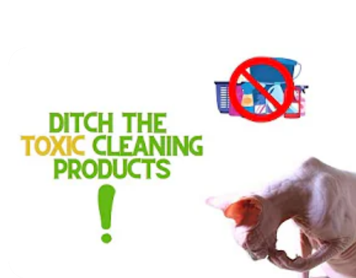 Ditch the Toxic Cleaning Products!