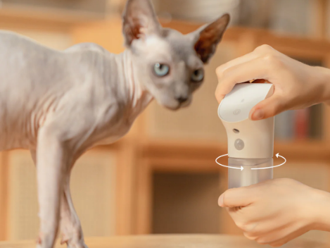 The ONLY Air Fresheners I’ll Use In My House