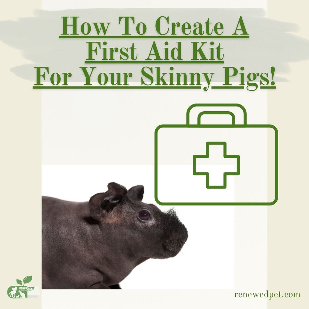 How To Create A First Aid Kit For Your Skinny Pigs!