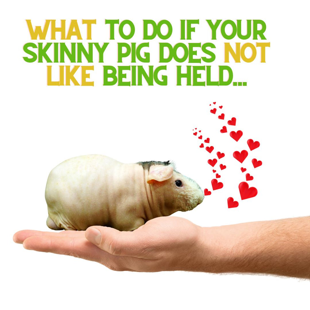 What To Do If Your Skinny Doesn't Like To Be Held...