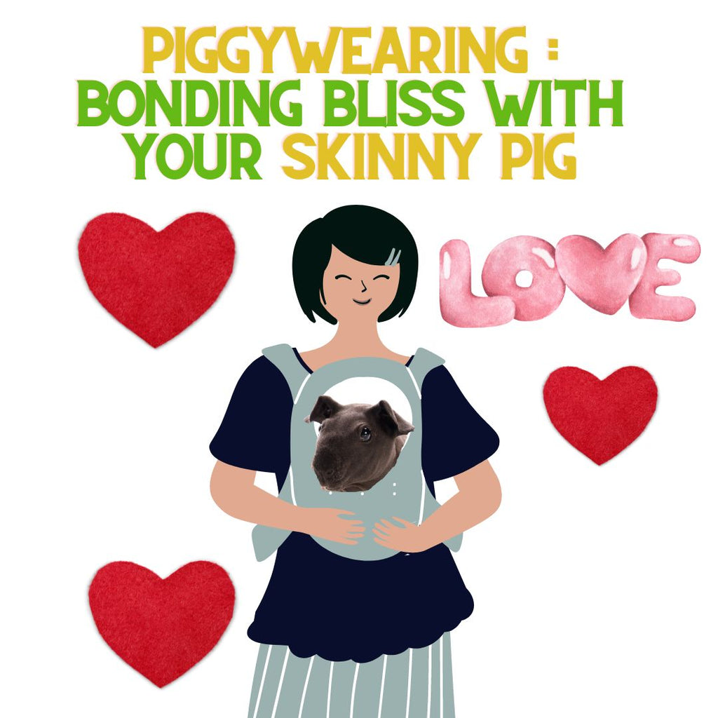 Piggywearing: Bonding Bliss With Your Skinny Pig!