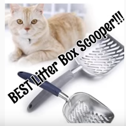 BEST Litter Box Scoop!!!